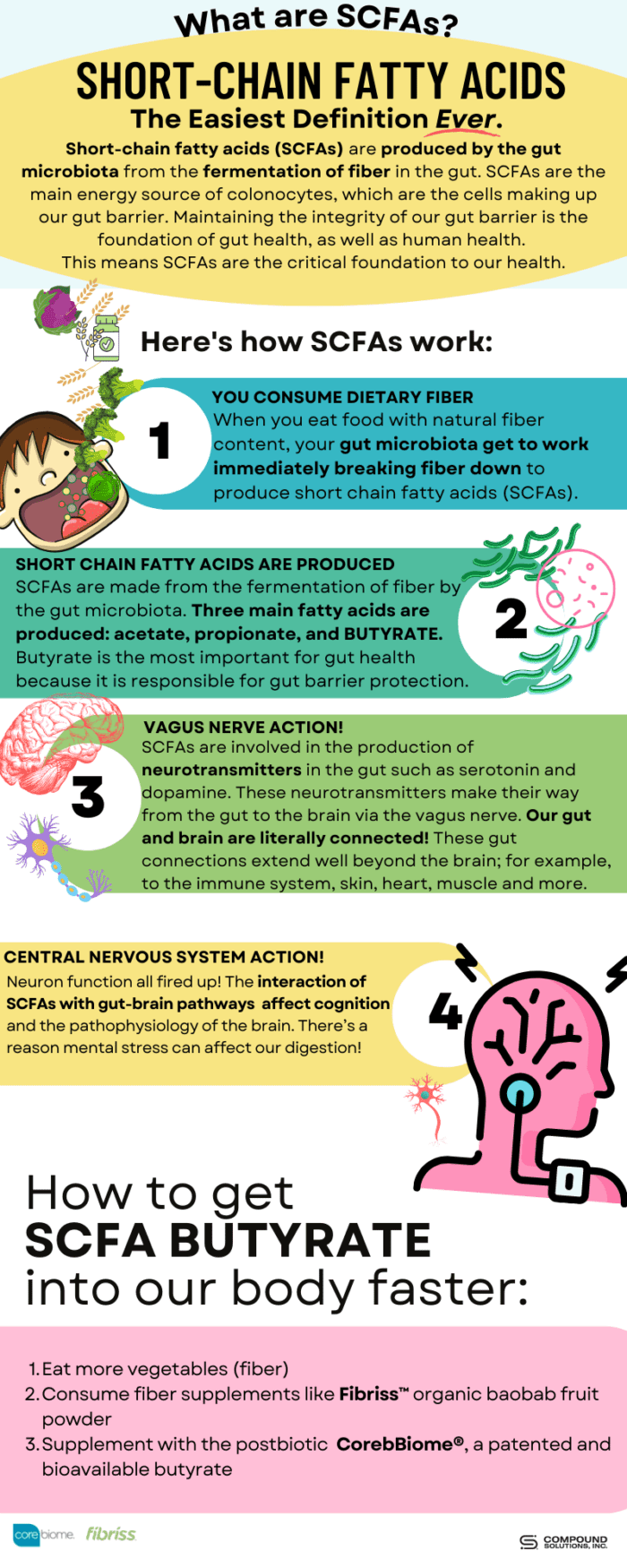 Why Short Chain Fatty Acids (SCFA)? - Compound Solutions : Compound ...