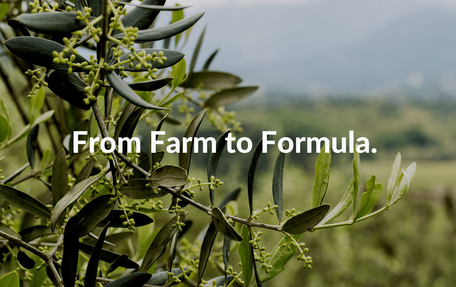 goFAT® Olive Oil and goMCT® Organic
