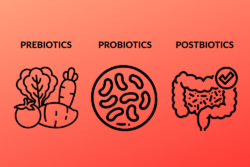 Prebiotics probiotics and postbiotics explained with butyrate as a key postbiotic style output