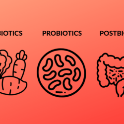 Prebiotics probiotics and postbiotics explained with butyrate as a key postbiotic style output