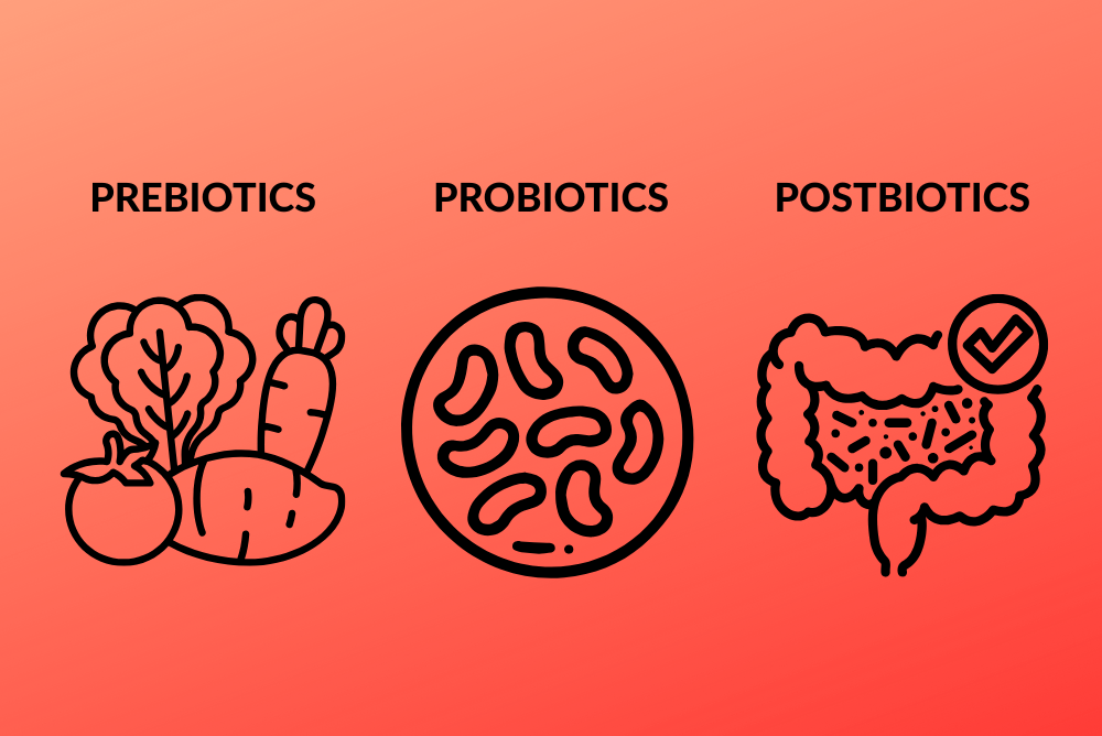 Prebiotics probiotics and postbiotics explained with butyrate as a key postbiotic style output