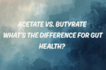 Acetate vs butyrate for gut health featuring ReBiome triacetin