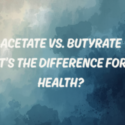 Acetate vs butyrate for gut health featuring ReBiome triacetin