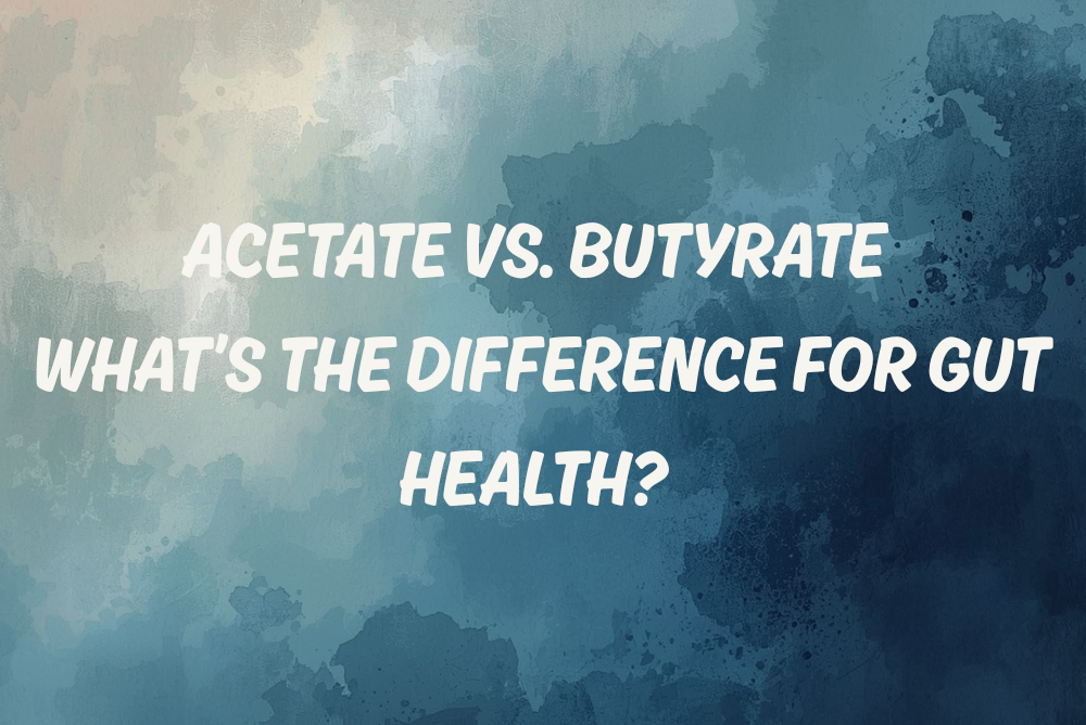 Acetate vs butyrate for gut health featuring ReBiome triacetin