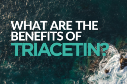 What are the benefits of triacetin for gut health and fiber digestion