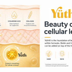 Yüth® spermidine gummies alongside beauty-from-within ingredients, showing the cellular renewal layer beneath biotin and hyaluronic acid