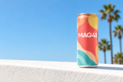 A single slim can with a coral band standing alone in bright Southern California morning light with palm trees and blue sky behind it, representing the daytime magnesium soda opportunity in functional beverages.