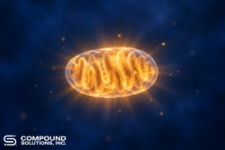 Glowing mitochondrion illustration radiating warm amber light, representing acetate as a fuel for cellular energy
